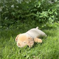 Peluche Sora le Chien Golden Retriever L 56 cm